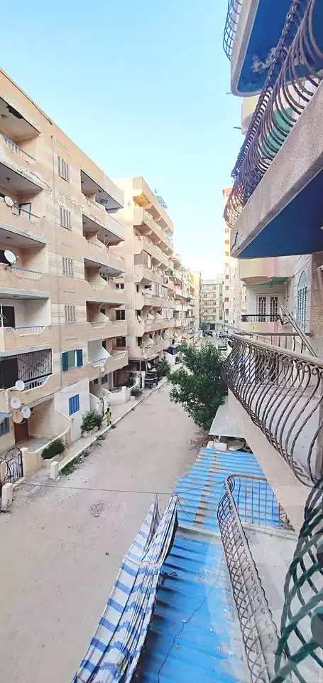 https://aqarmap.com.eg/ar/listing/7143642-for-sale-alexandria-al-agamy-shataa-el-nakheel
