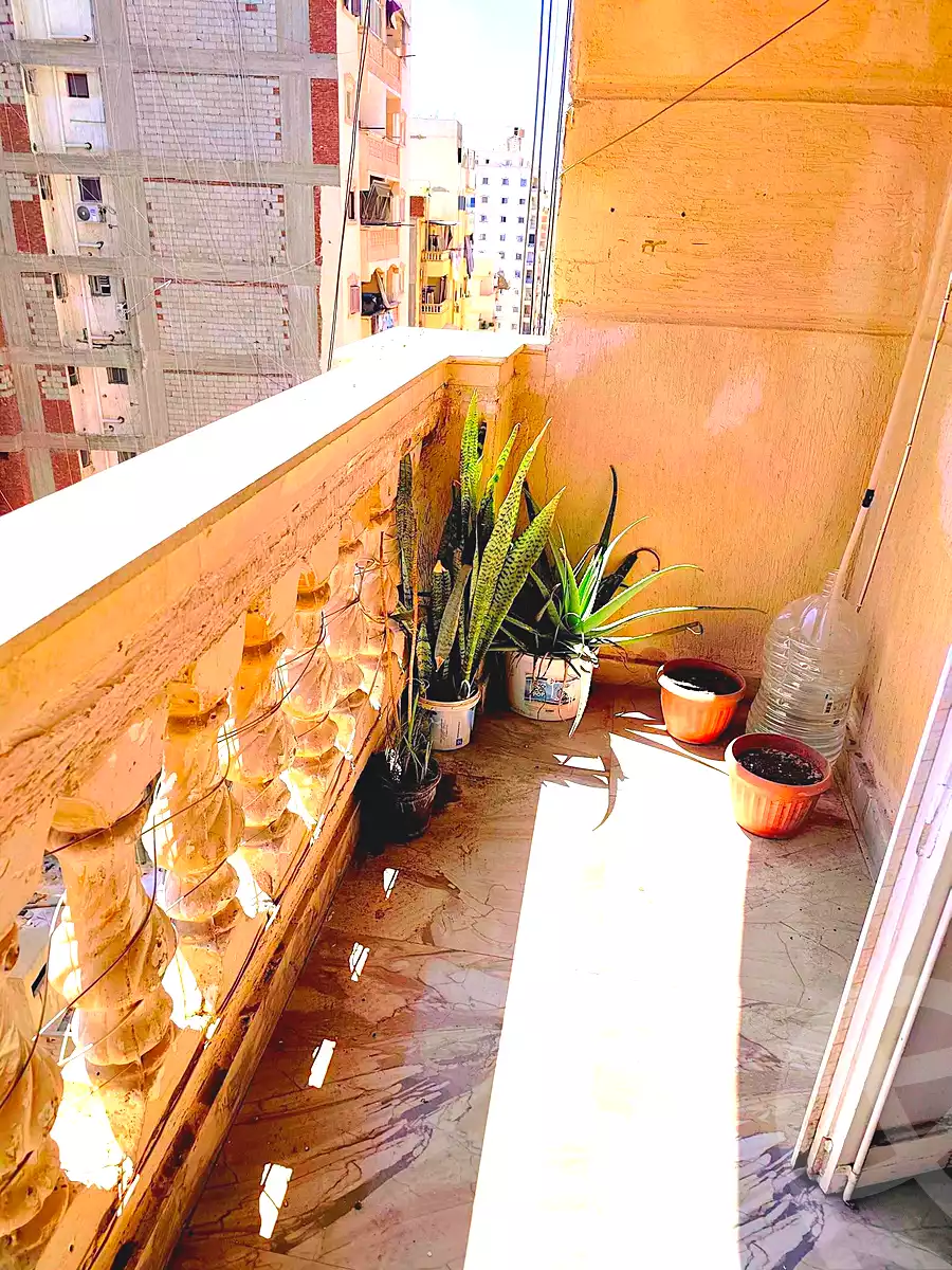 https://aqarmap.com.eg/ar/listing/7143754-for-rent-alexandria-el-asafra-l-sfr-bhry