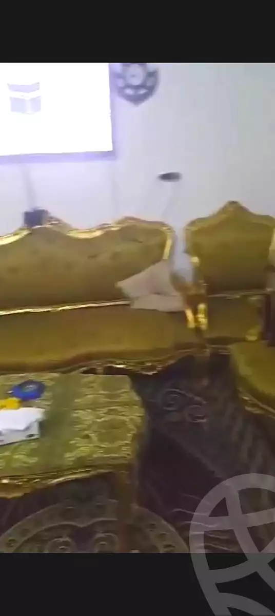 https://aqarmap.com.eg/ar/listing/7144962-for-sale-alexandria-el-asafra-l-sfr-qbly