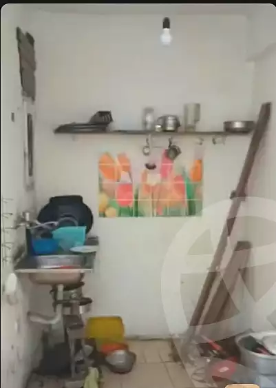 https://aqarmap.com.eg/en/listing/7146381-for-sale-cairo-ain-shams-aman-st