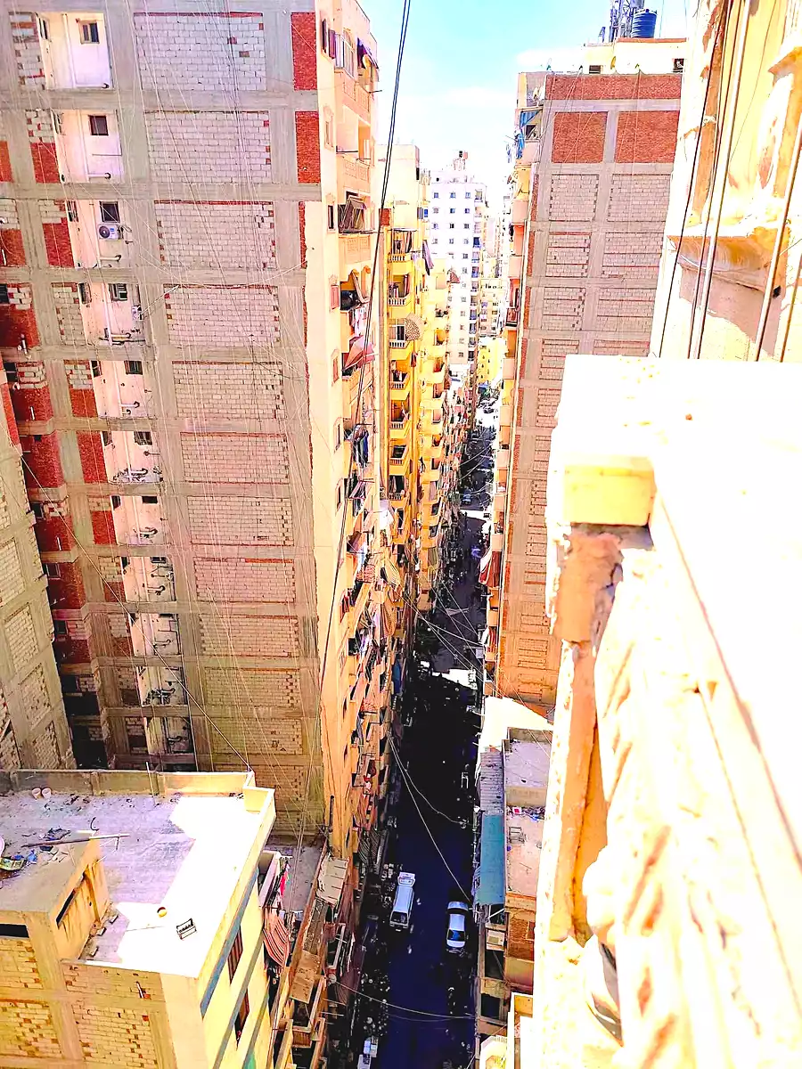 https://aqarmap.com.eg/ar/listing/7146503-for-rent-alexandria-el-asafra-l-sfr-bhry
