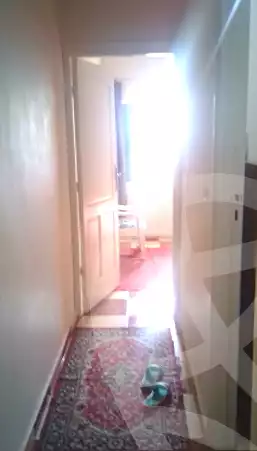 https://aqarmap.com.eg/en/listing/7148096-for-rent-alexandria-abu-talat