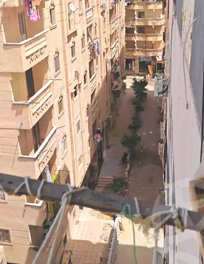 https://aqarmap.com.eg/ar/listing/7148894-for-sale-alexandria-al-agamy-el-hanouvel-kasr-al-quiri-st-1