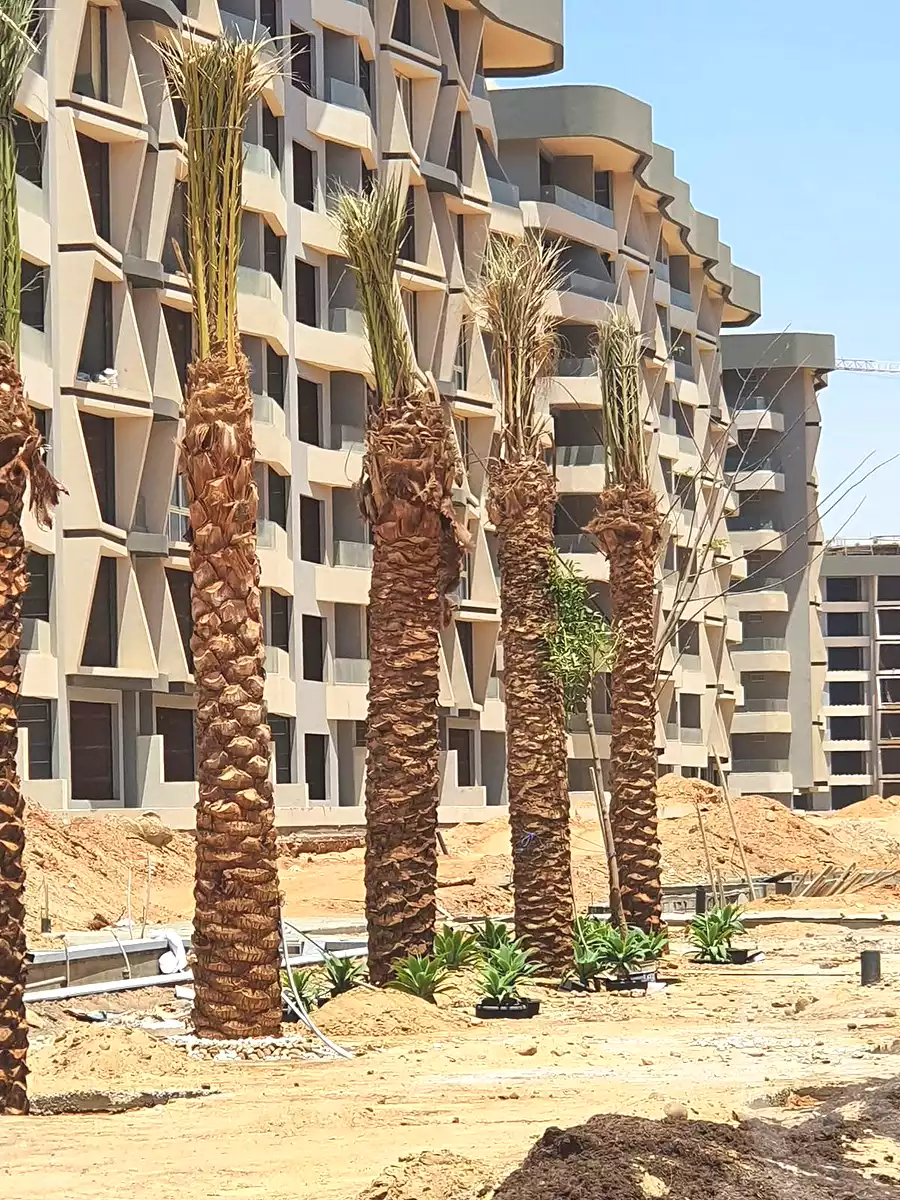https://aqarmap.com.eg/ar/listing/7151893-for-sale-cairo-new-administrative-capital-r7-midtown-condo