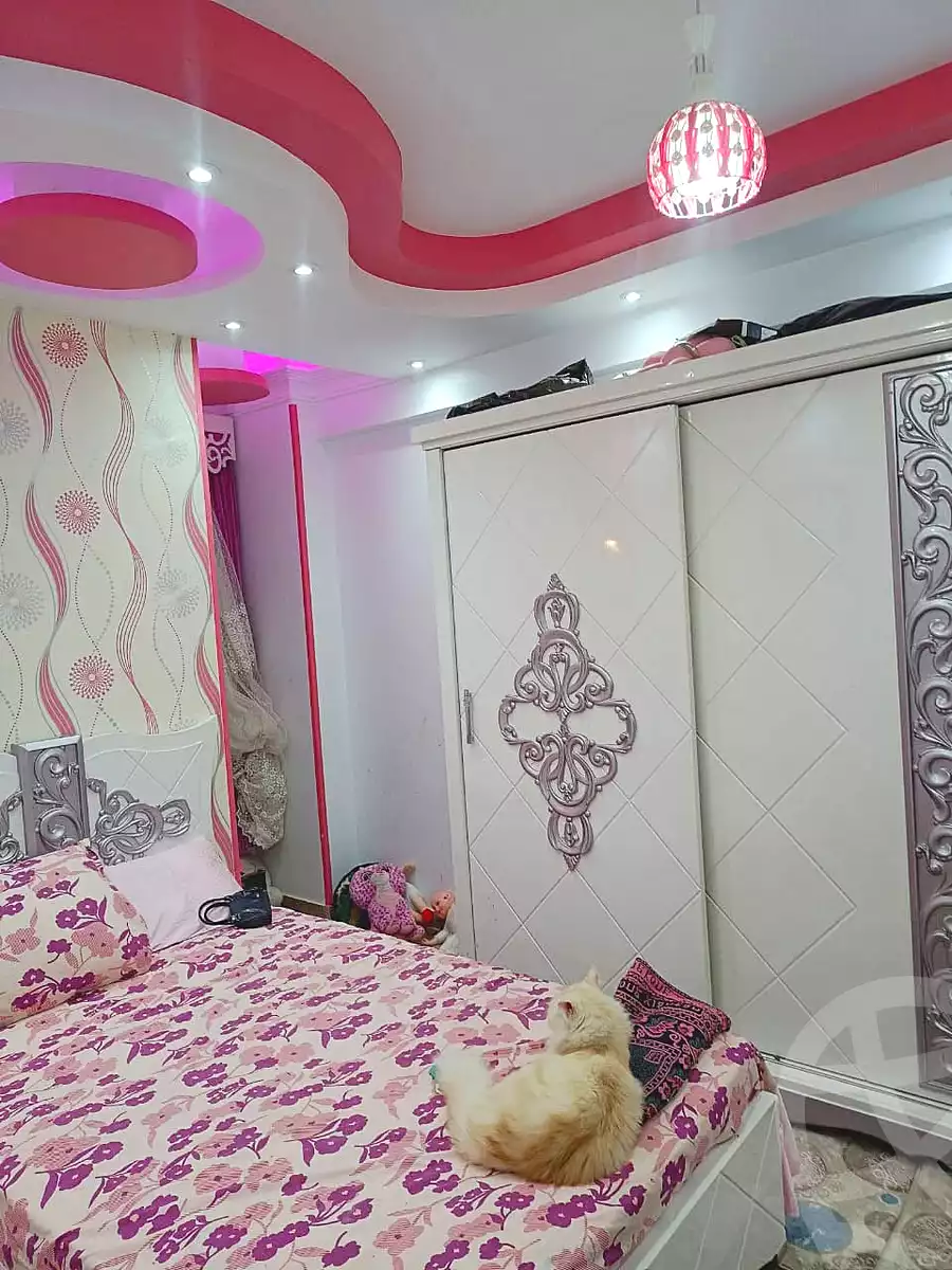 https://aqarmap.com.eg/en/listing/7152213-for-sale-cairo-elnozha-Streettt-27