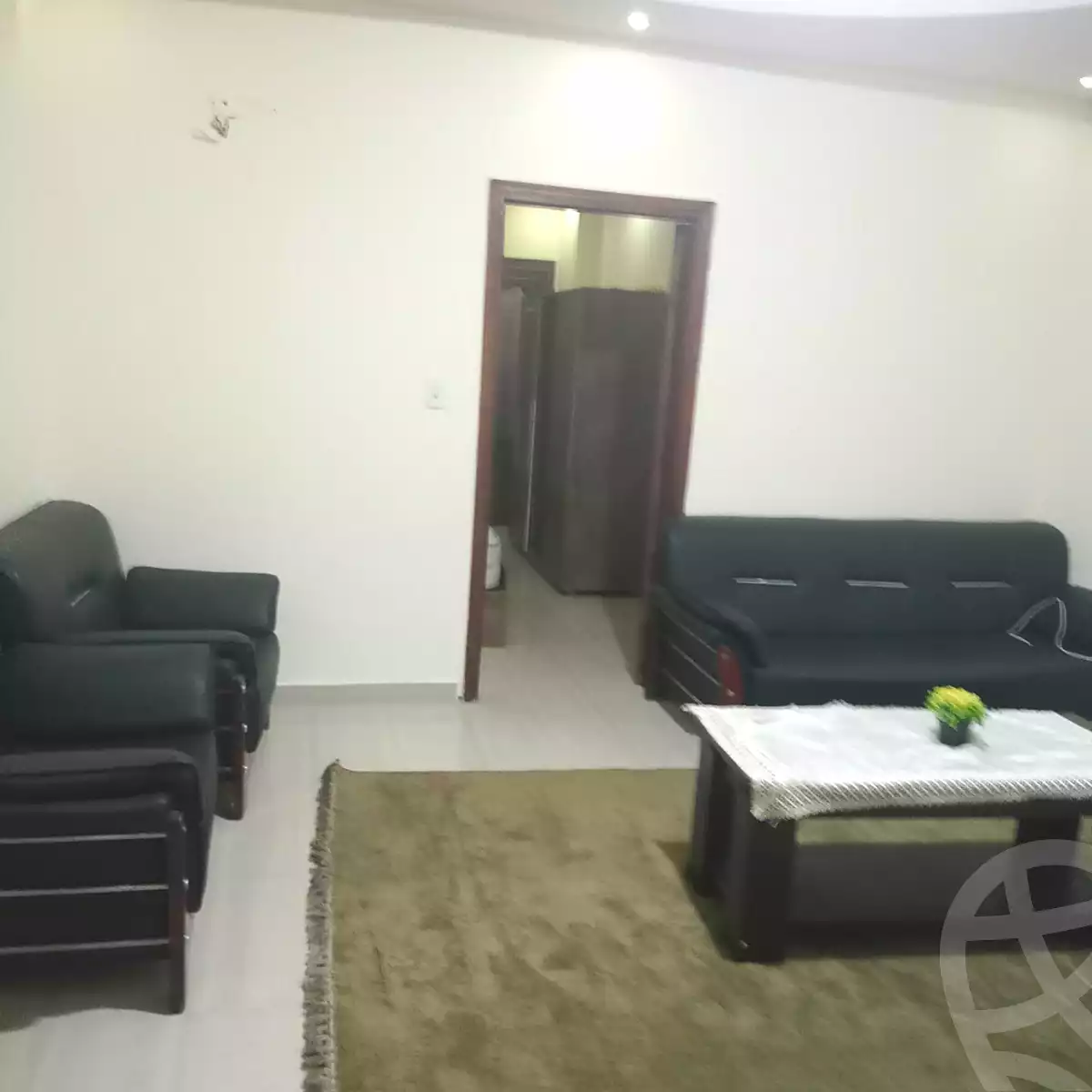 https://aqarmap.com.eg/ar/listing/7152621-for-rent-dakahlia-mansoura-el-mansoura-city-gehan-al-sadat-st