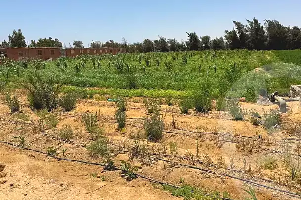 https://aqarmap.com.eg/ar/listing/7153063-for-sale-el-fayoum-tamiya-tamiyyah-city