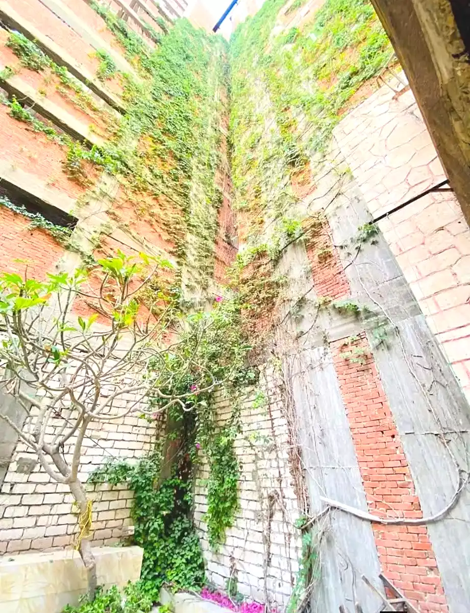 https://aqarmap.com.eg/ar/listing/7154187-for-sale-alexandria-al-agamy-lbytsh-al-nouqrashi-st