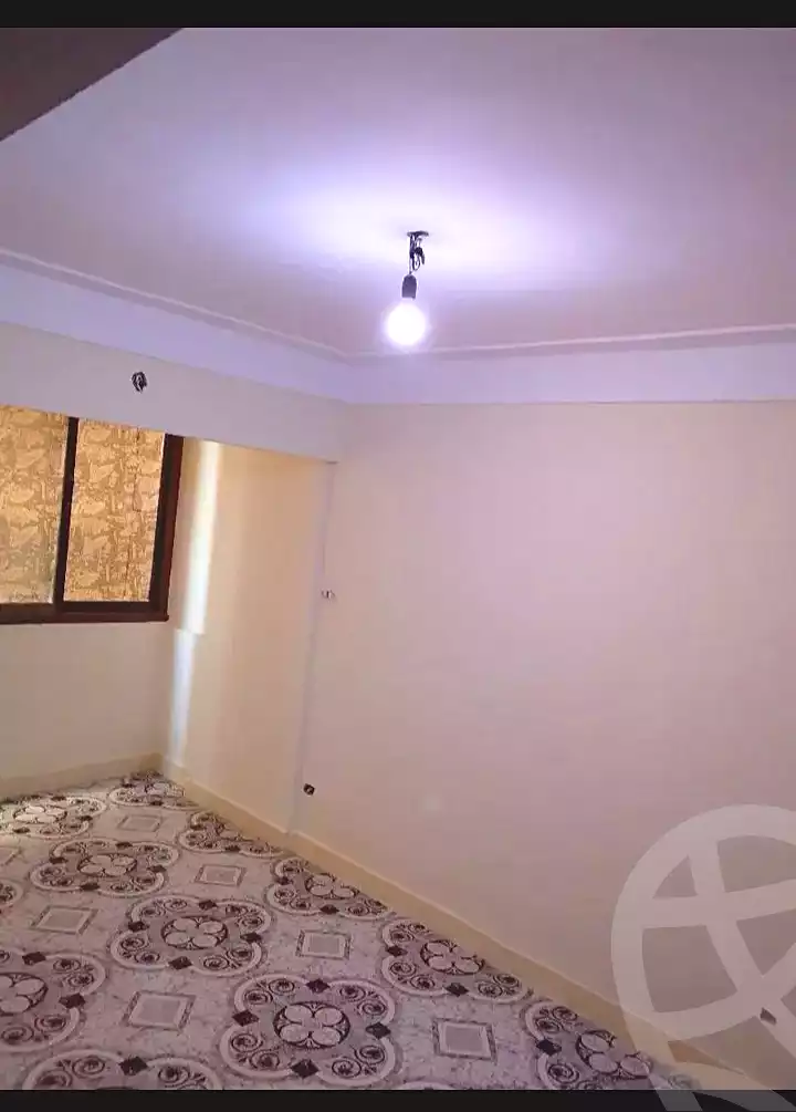 https://aqarmap.com.eg/en/listing/7154374-for-sale-alexandria-miami