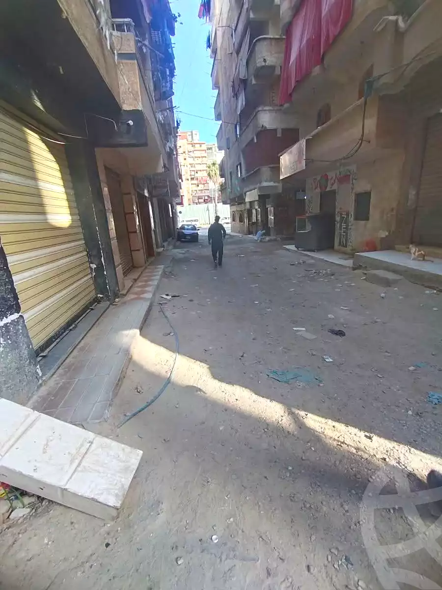 https://aqarmap.com.eg/en/listing/7157292-for-sale-alexandria-al-agamy-el-kilo-21-el-khalig-st