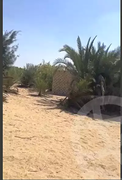https://aqarmap.com.eg/en/listing/7157614-for-sale-beheira-wadi-el-natrun