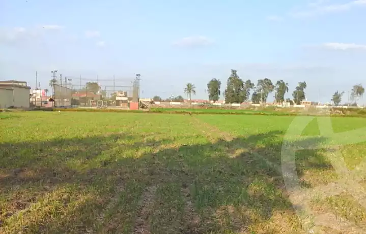 https://aqarmap.com.eg/en/listing/7165128-for-sale-sharqia-abu-hamad-abou-hammad-city