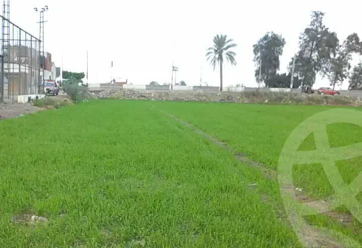 https://aqarmap.com.eg/en/listing/7165128-for-sale-sharqia-abu-hamad-abou-hammad-city