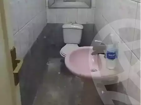 https://aqarmap.com.eg/en/listing/7165704-for-rent-cairo-downtown