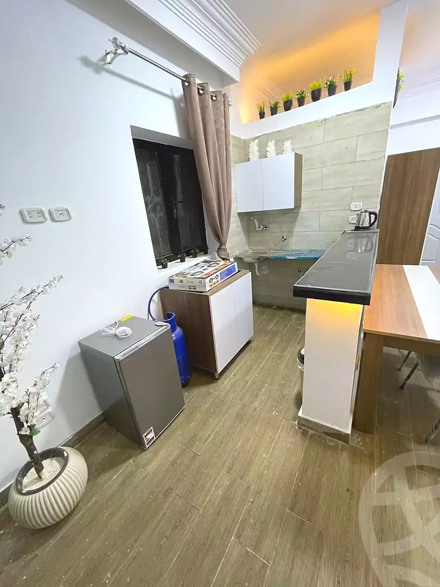 https://aqarmap.com.eg/en/listing/7167568-for-rent-cairo-new-cairo-ganob-el-akadamiya-south-academy-g-sedki-suliman-st