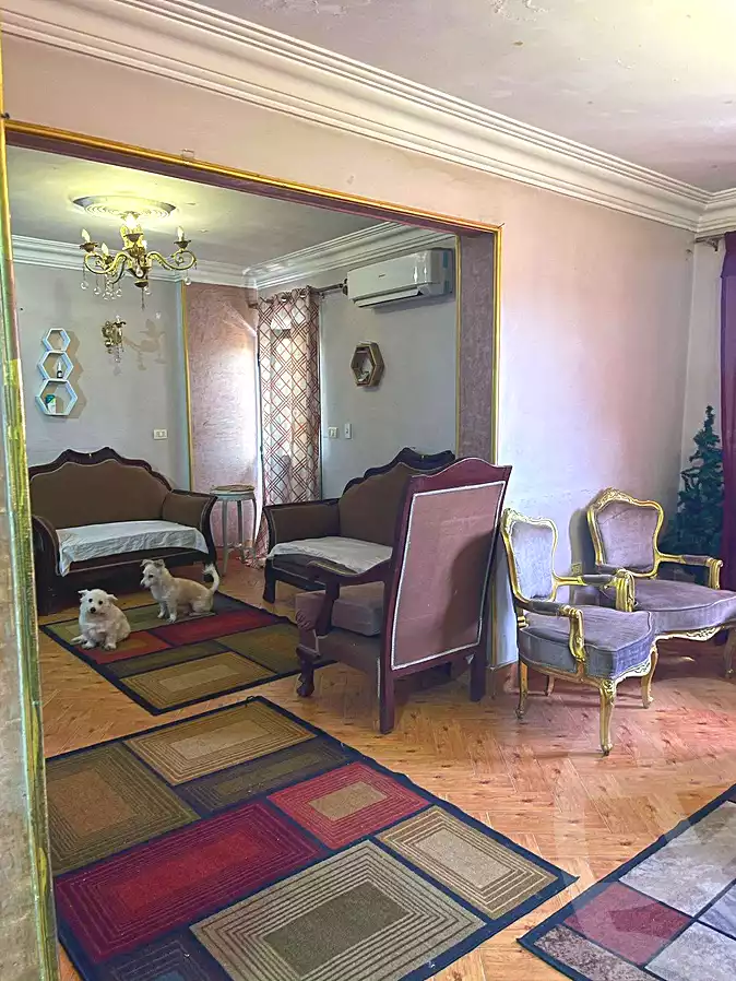 https://aqarmap.com.eg/en/listing/7168914-for-sale-cairo-ain-shams-ain-shams-el-sharkia-el-eshrein-stt