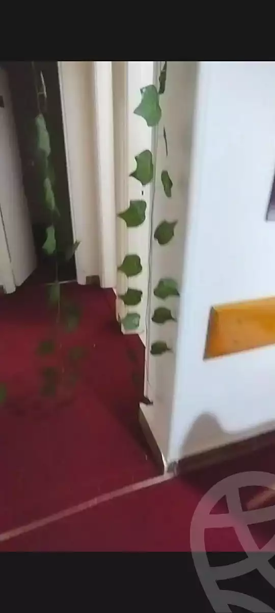 https://aqarmap.com.eg/en/listing/7170243-for-rent-cairo-downtown-el-tahrir