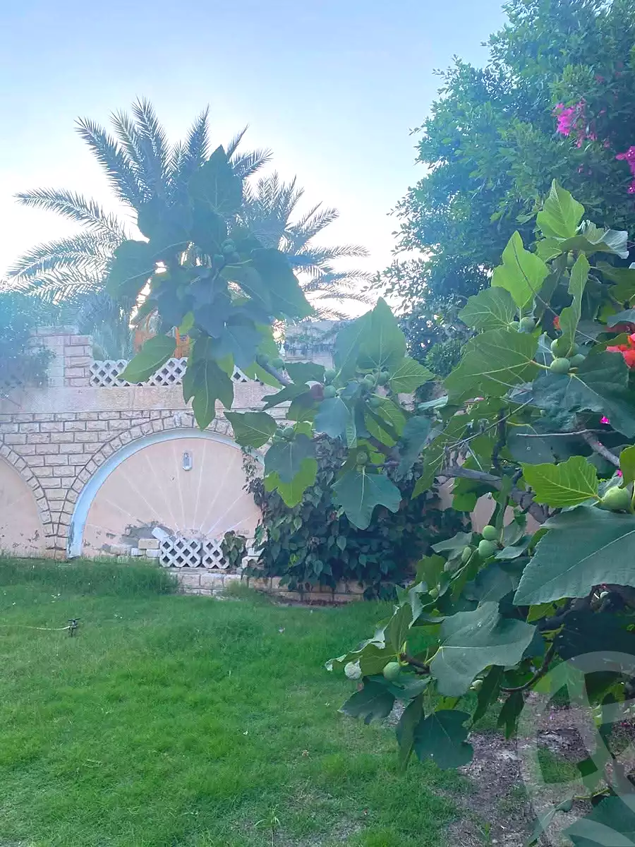 https://aqarmap.com.eg/ar/listing/7173084-for-sale-alexandria-al-agamy-lbytsh-el-hanafeya-st