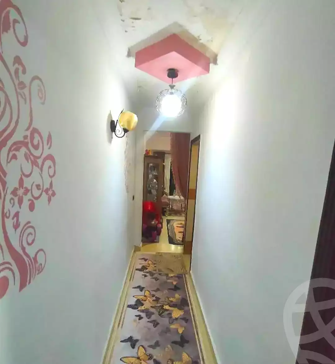 https://aqarmap.com.eg/ar/listing/7173996-for-sale-alexandria-lsywf-el-falki-street-16-el-eslah