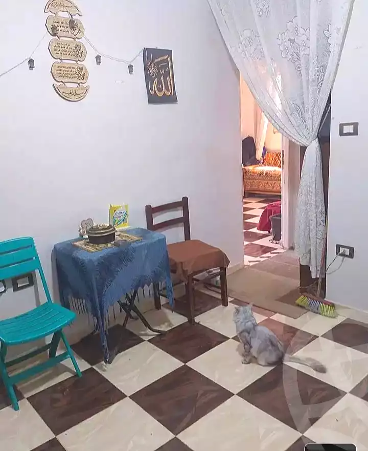 https://aqarmap.com.eg/en/listing/7175939-for-sale-alexandria-el-mandara-shr-mlk-hfny