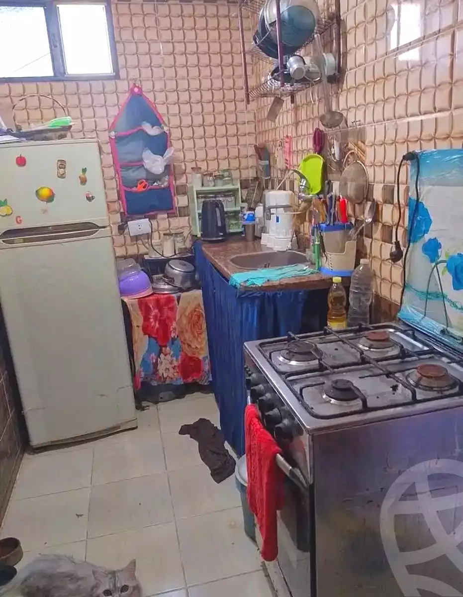 https://aqarmap.com.eg/en/listing/7176228-for-sale-alexandria-el-mandara-alex-el-mandara-qebli