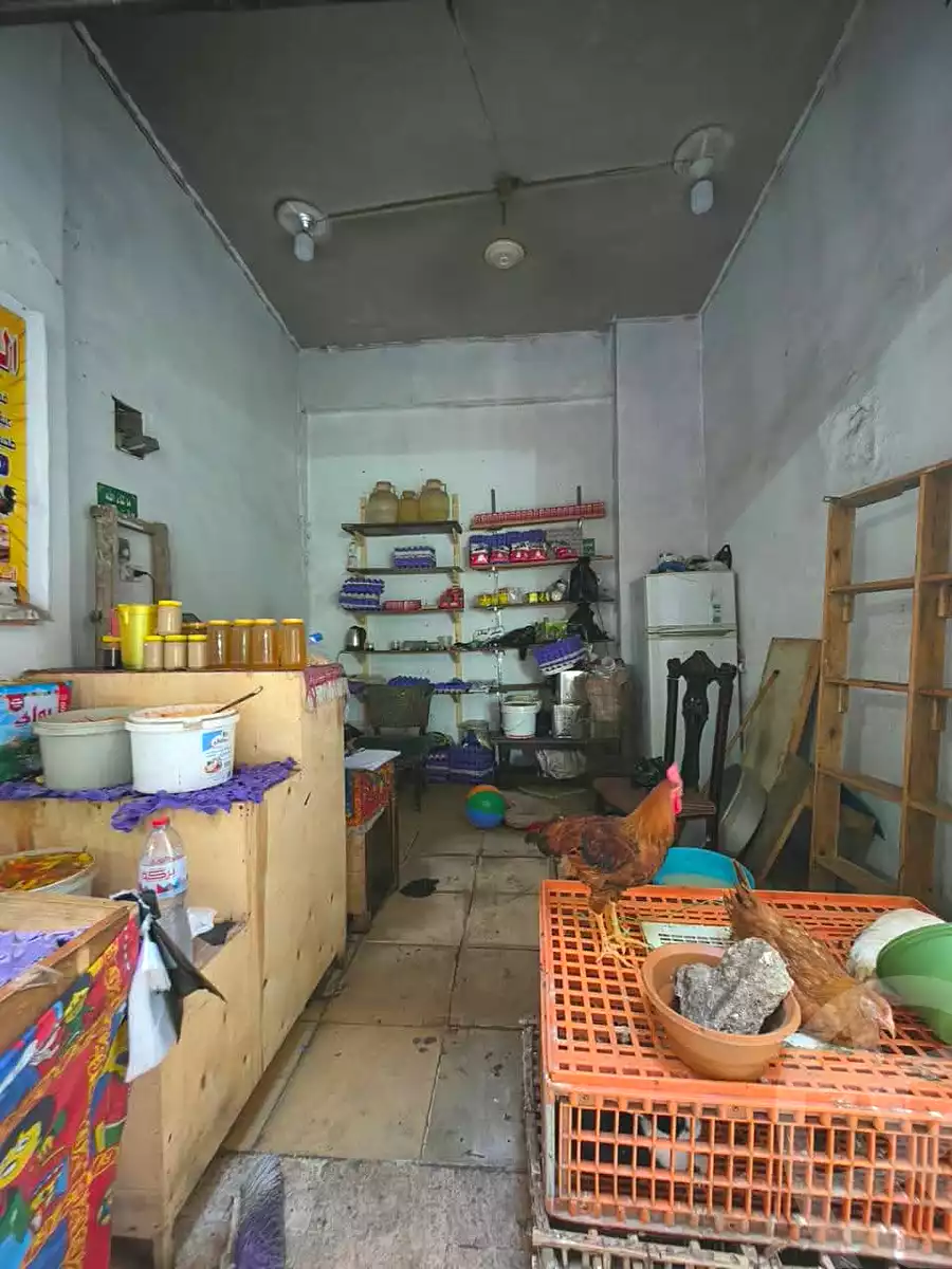 https://aqarmap.com.eg/en/listing/7177188-for-rent-alexandria-sydy-bshr-sydy-bshr-bhry
