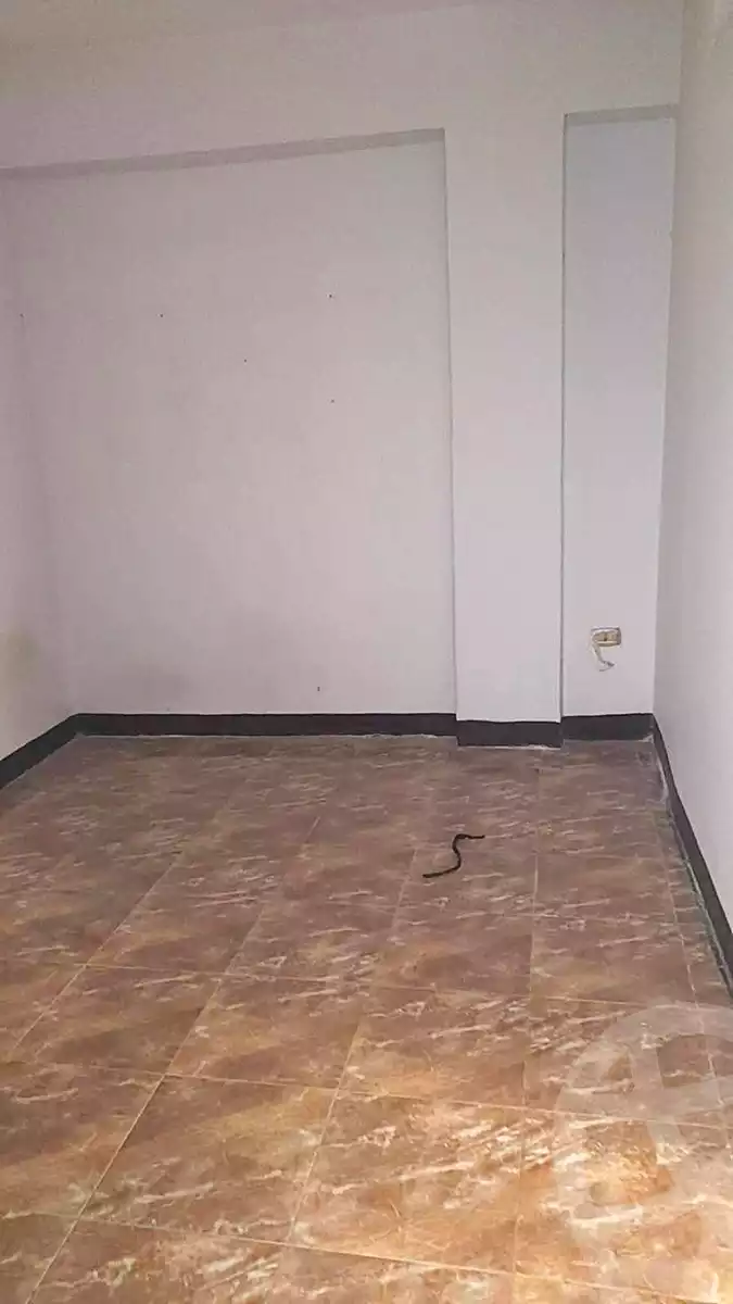 https://aqarmap.com.eg/en/listing/7177491-for-rent-cairo-el-zaytun-lzytwn-lshrqy