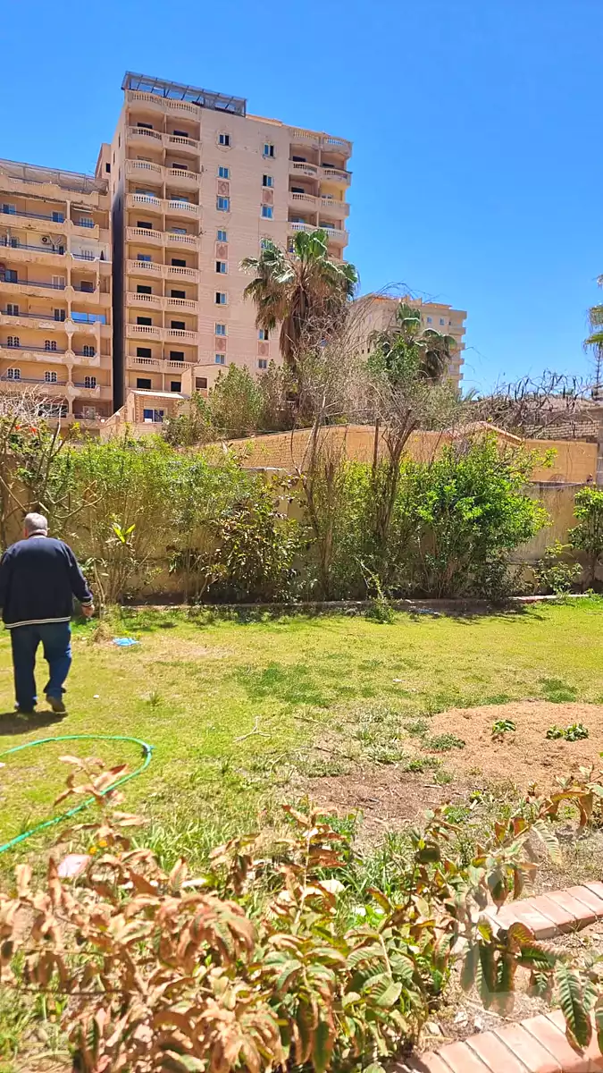 https://aqarmap.com.eg/en/listing/7165435-for-sale-alexandria-al-agamy-bw-ywsf-hosni-mubarak-st