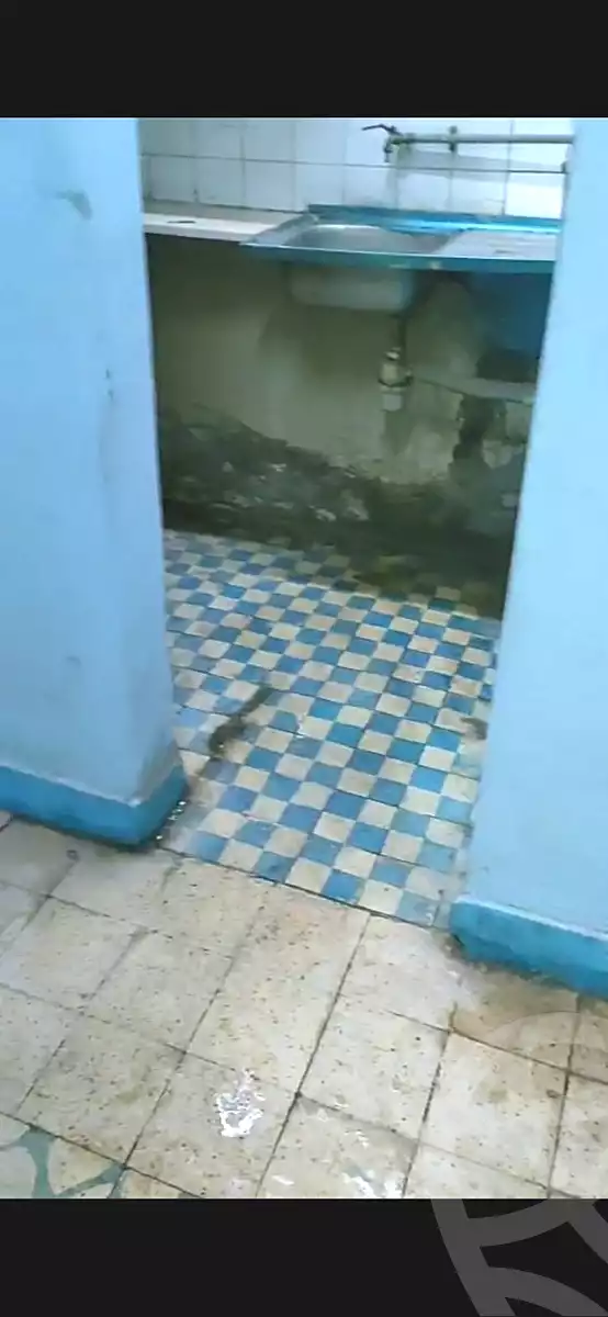 https://aqarmap.com.eg/ar/listing/7178897-for-sale-cairo-faisal-awel-faisal