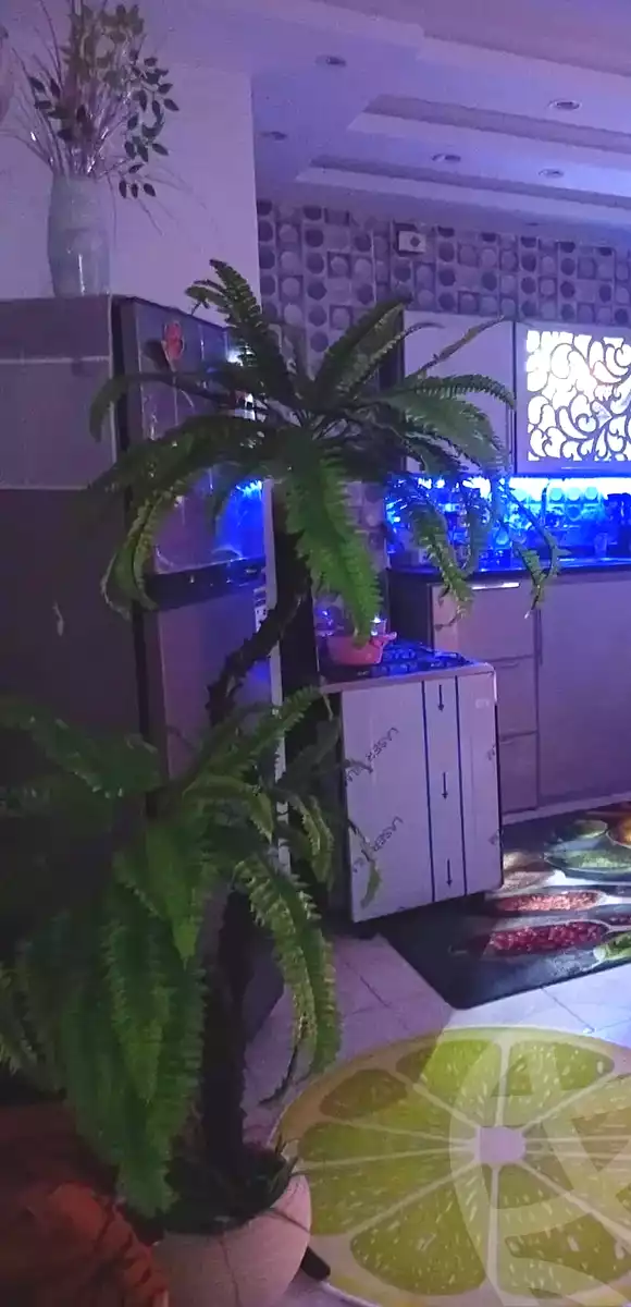 https://aqarmap.com.eg/ar/listing/7180849-for-sale-alexandria-al-agamy-lbytsh-bianchiii