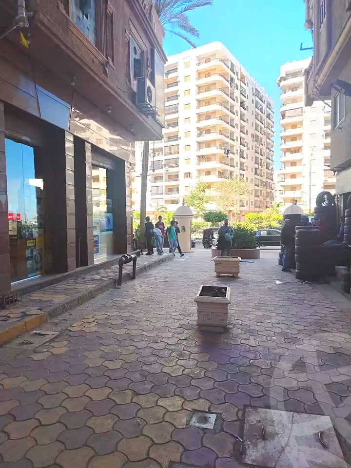 https://aqarmap.com.eg/ar/listing/7183194-for-sale-alexandria-el-mandara-nabawy-al-mohandes-st