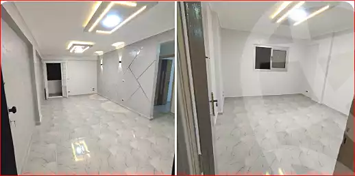 https://aqarmap.com.eg/en/listing/7184303-for-sale-alexandria-lsywf-el-falki