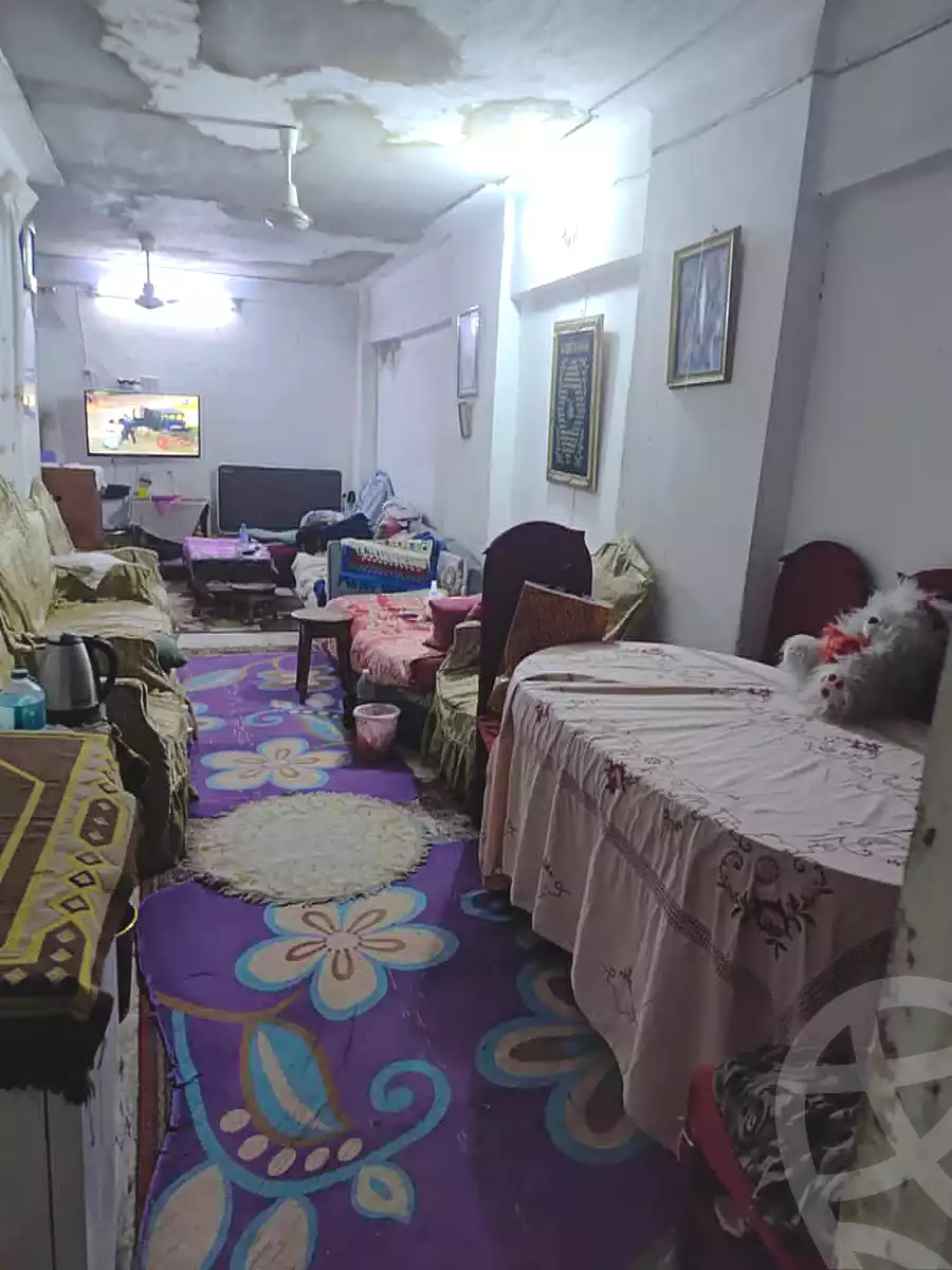 https://aqarmap.com.eg/ar/listing/7185683-for-sale-alexandria-el-mandara-shr-jml-bd-lnsr