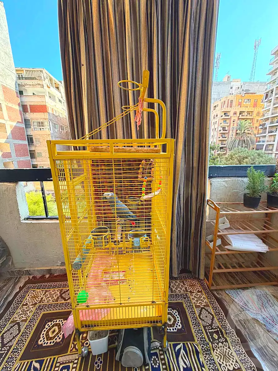 https://aqarmap.com.eg/ar/listing/7189778-for-sale-alexandria-al-agamy-lbytsh-bianchiii-el-arbaeen-st