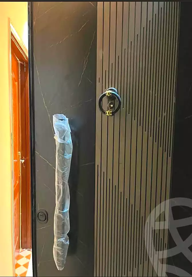 https://aqarmap.com.eg/en/listing/7190279-for-sale-cairo-ain-shams