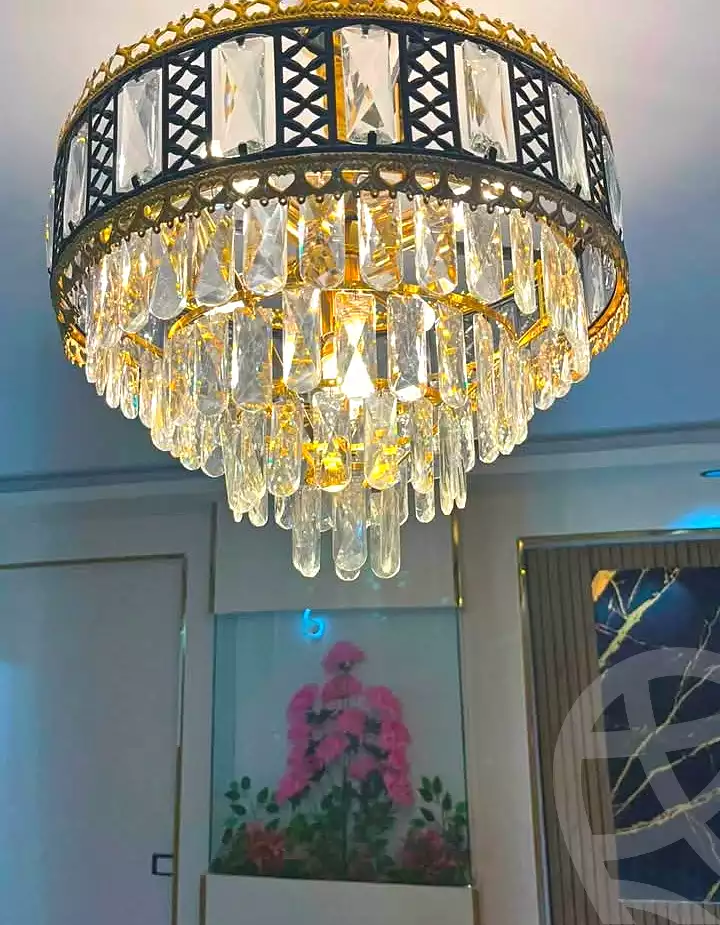 https://aqarmap.com.eg/en/listing/7190279-for-sale-cairo-ain-shams