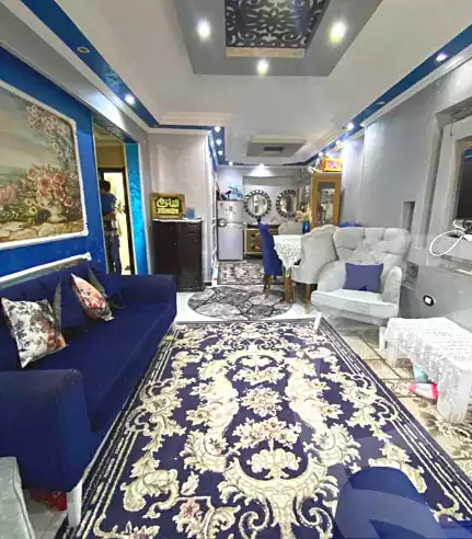 https://aqarmap.com.eg/en/listing/7191075-for-sale-alexandria-sydy-bshr