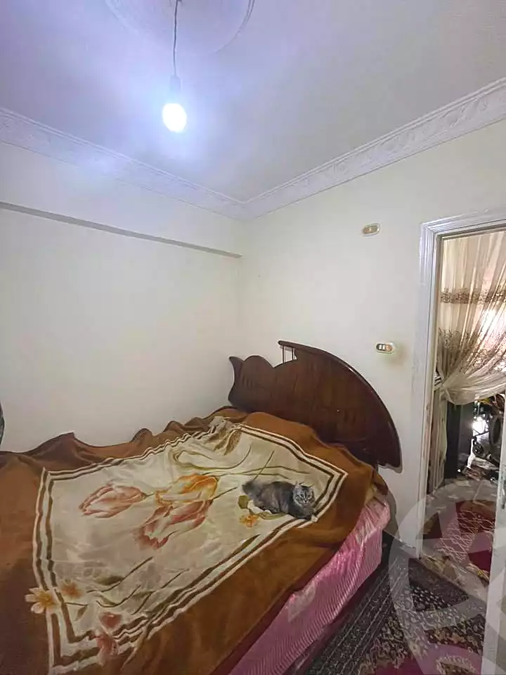 https://aqarmap.com.eg/ar/listing/7193638-for-sale-alexandria-al-agamy-bw-ywsf