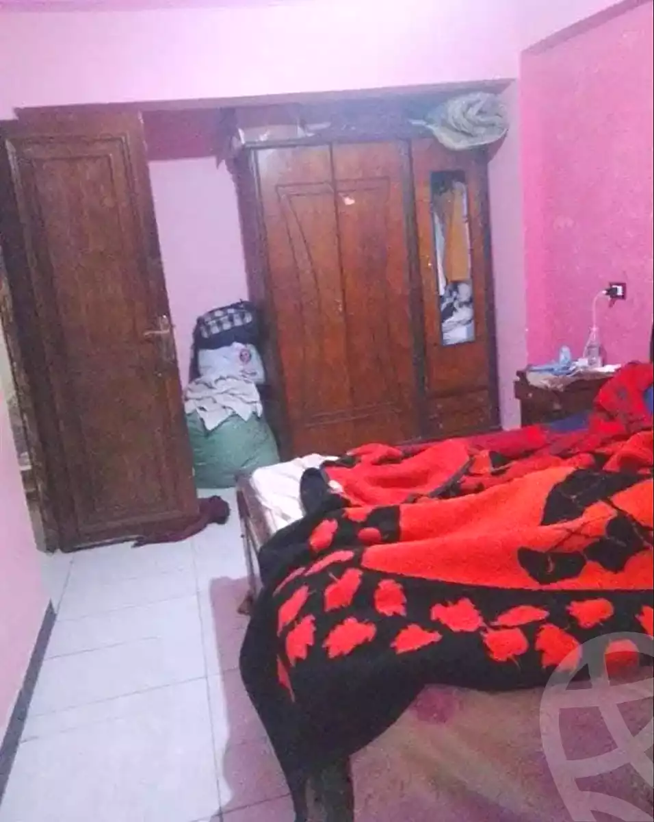https://aqarmap.com.eg/en/listing/7194202-for-sale-alexandria-lsywf-el-falki