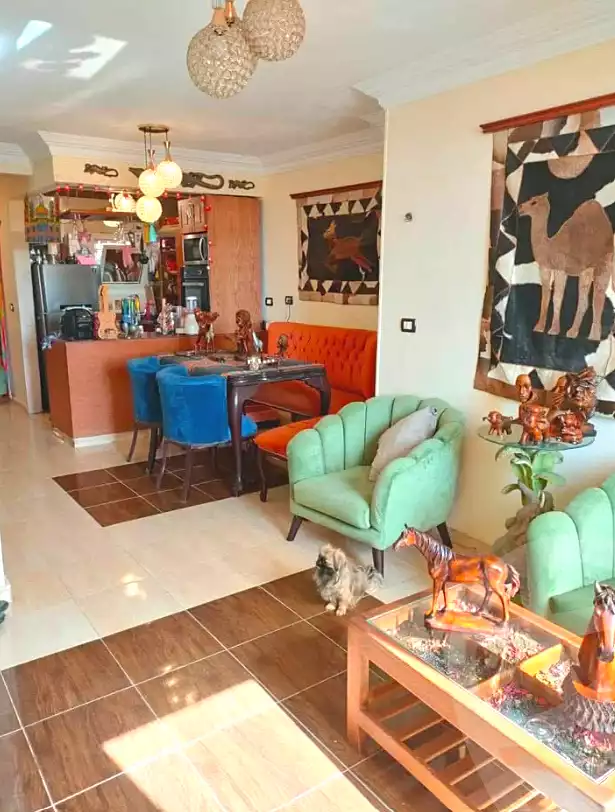 https://aqarmap.com.eg/en/listing/7194228-for-sale-cairo-el-haram-el-maryotya-sefara-st