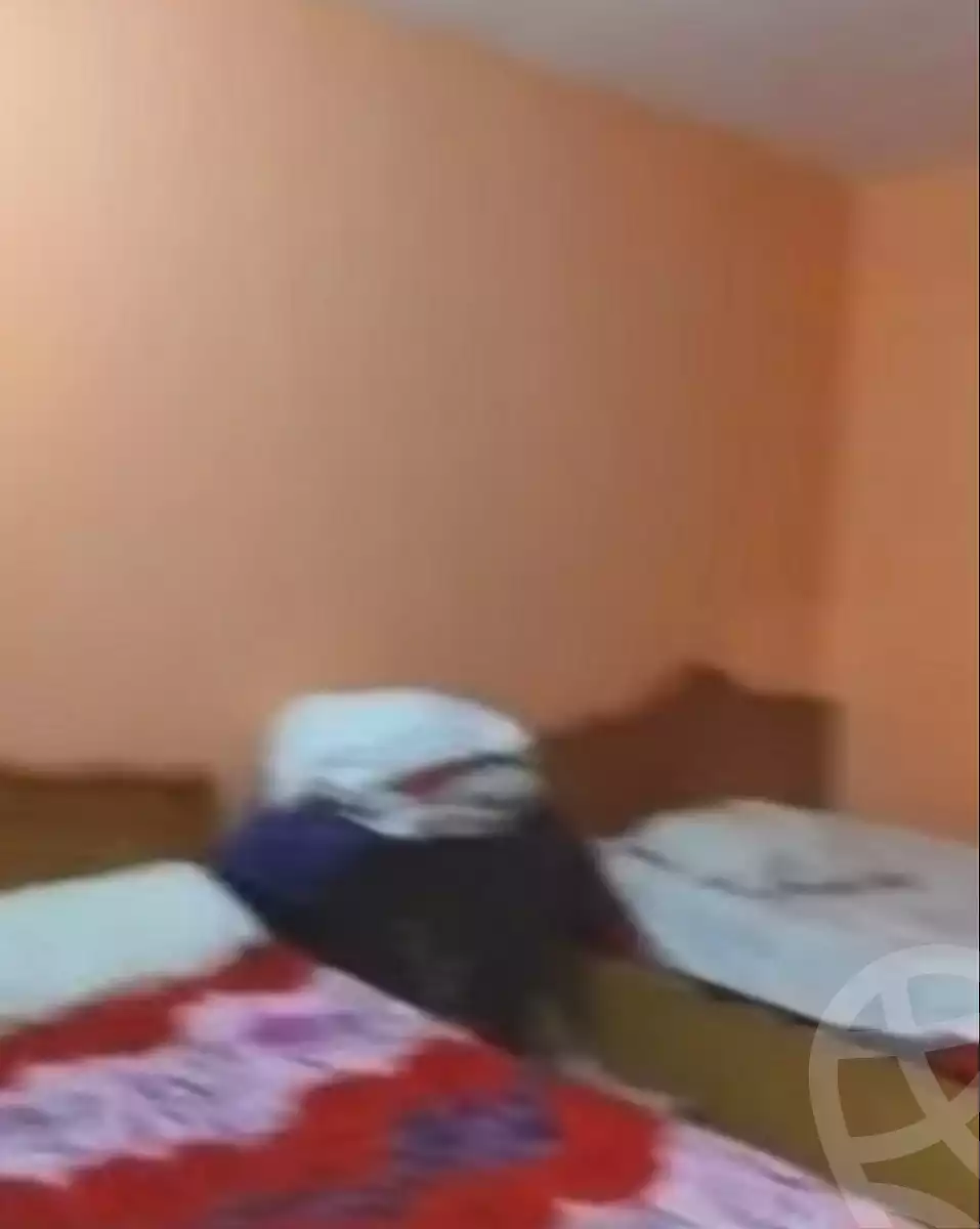 https://aqarmap.com.eg/ar/listing/7195385-for-sale-cairo-ain-shams-mnshy-lthryr
