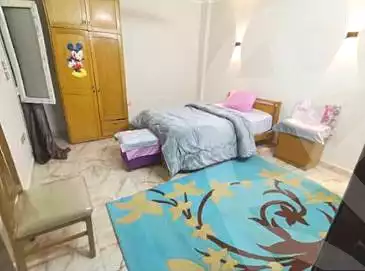 https://aqarmap.com.eg/en/listing/7198474-for-sale-cairo-faisal-el-lebeny