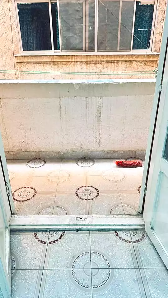 https://aqarmap.com.eg/en/listing/7201943-for-sale-alexandria-al-agamy-el-hanouvel-el-kholafaa-el-rashdeen-st