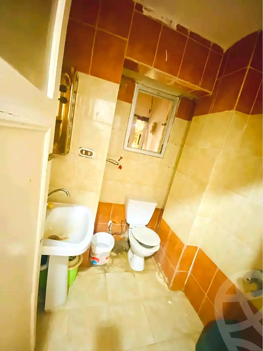 https://aqarmap.com.eg/en/listing/7202636-for-sale-alexandria-al-agamy-lbytsh-bianchiii-street-11