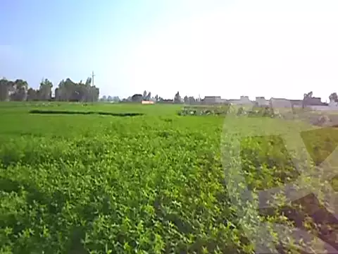https://aqarmap.com.eg/ar/listing/7203056-for-sale-beheira-abu-el-matamir-ketaa-gharb-el-nobareyah