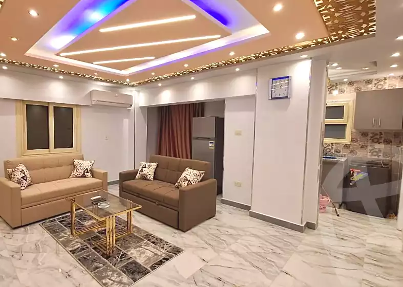 https://aqarmap.com.eg/en/listing/7204017-for-rent-cairo-nasr-city-abbas-el-akkad