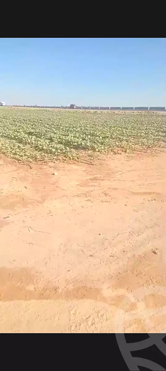 https://aqarmap.com.eg/en/listing/7204172-for-sale-beheira-wadi-el-natrun-el-hamraa