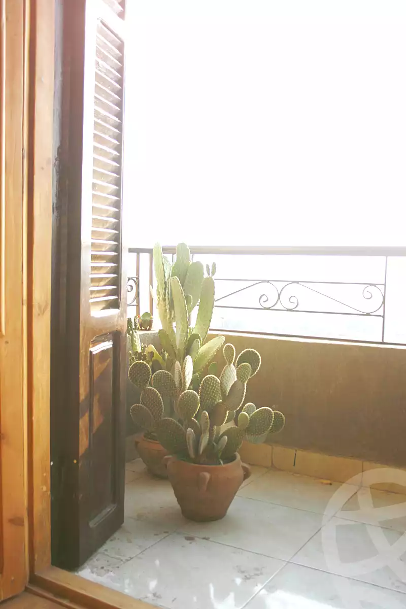 https://aqarmap.com.eg/ar/listing/7204777-for-rent-cairo-old-cairo-el-khayala