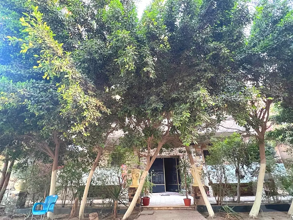 https://aqarmap.com.eg/en/listing/7205033-for-sale-cairo-mokattam-mokattam