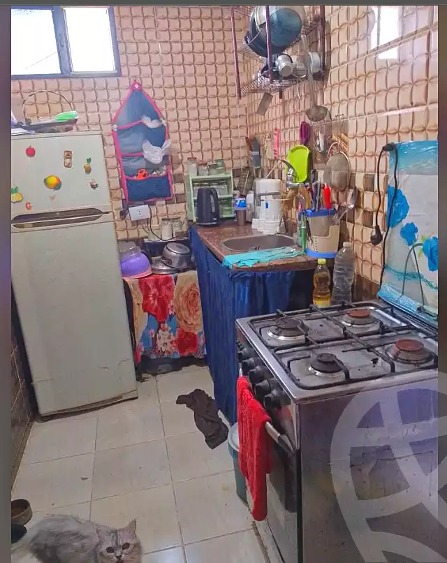https://aqarmap.com.eg/ar/listing/7205475-for-sale-alexandria-el-montazah-al-haga-zarefa-st